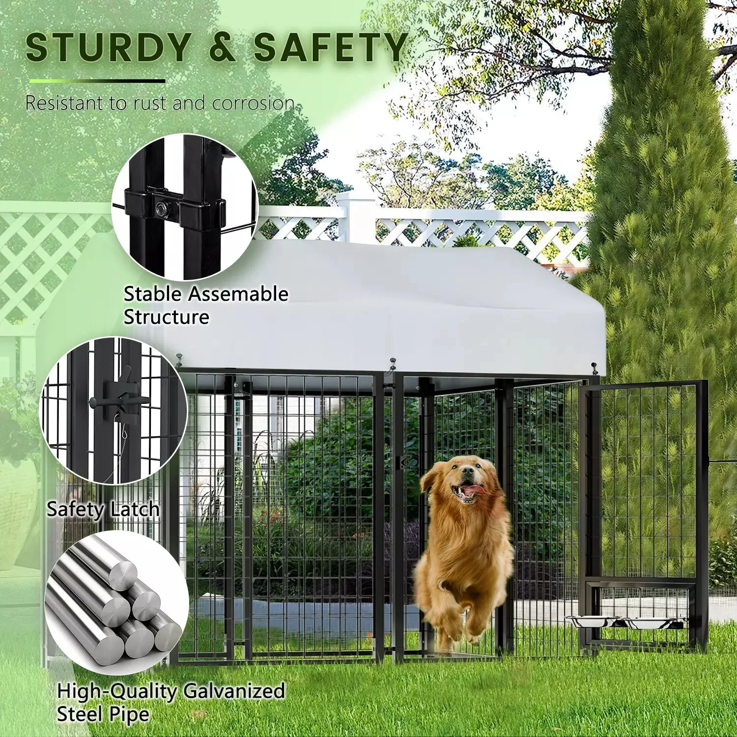 LEMBERI 8x4x4 Outside Dog Kennel with Roof for Large Dogs - Image 4