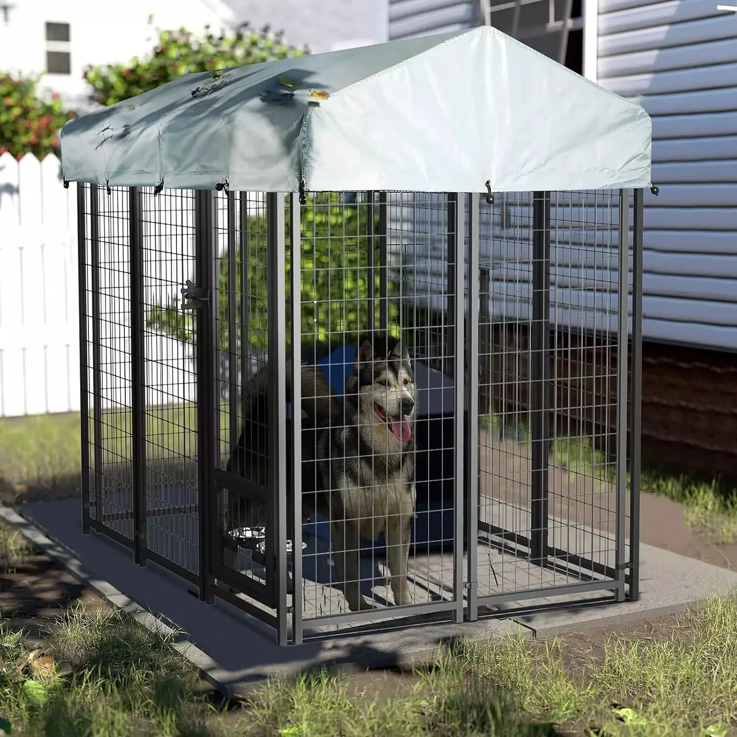 LEMBERI 8x4x6 FT Outdoor Dog Kennel for Large Dogs PLB02 - Image 14