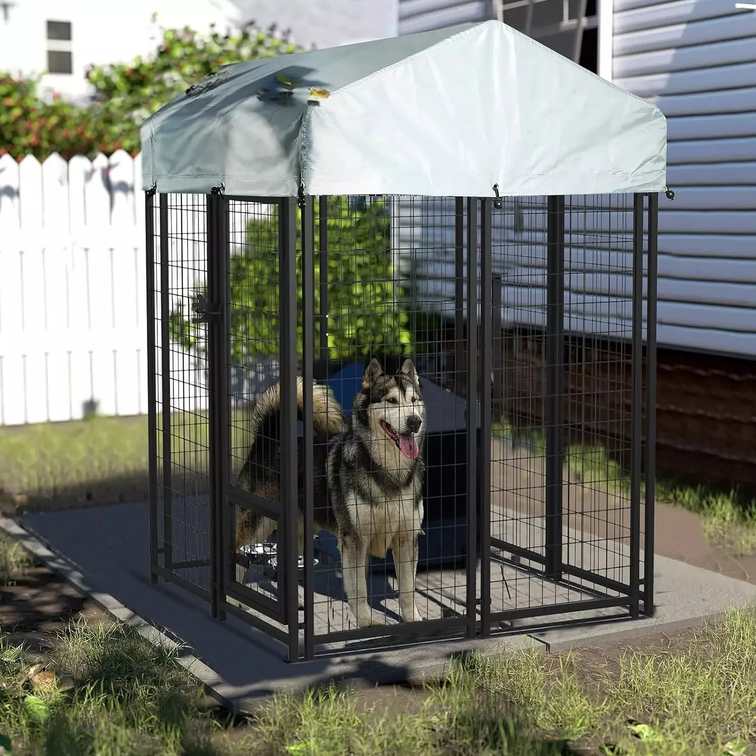 LEMBERI 8x4x6 FT Outdoor Dog Kennel for Large Dogs PLB02 - Image 21