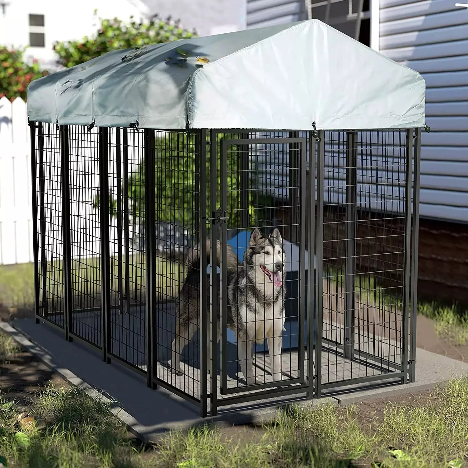 LEMBERI 8x4x6 FT Outdoor Dog Kennel for Large Dogs PLB02 - Image 7